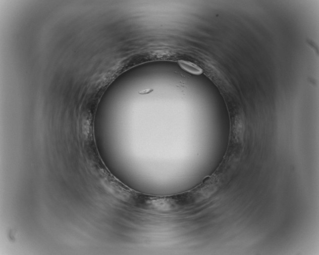 X0000102800417200808181205