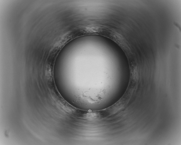 X0000102800418200808181205