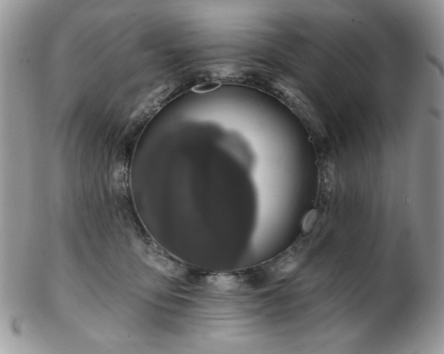 X0000102800419200808181205