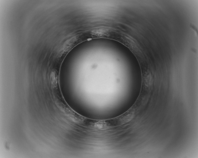 X0000102800420200808181205