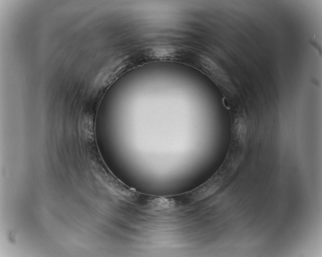 X0000102800421200808181205