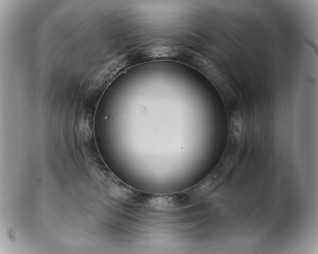 X0000102800422200808181205