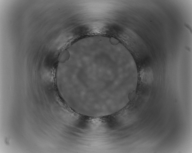 X0000102800423200808181205