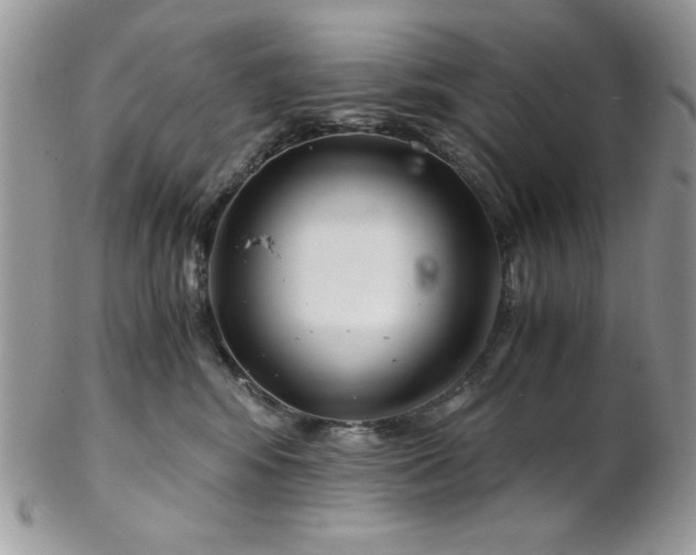 X0000102800424200808181205