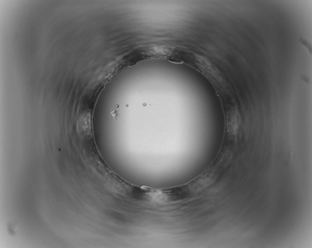 X0000102800425200808181205