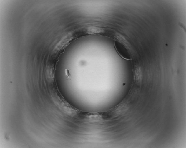 X0000102800426200808181205