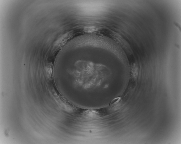 X0000102800427200808181205
