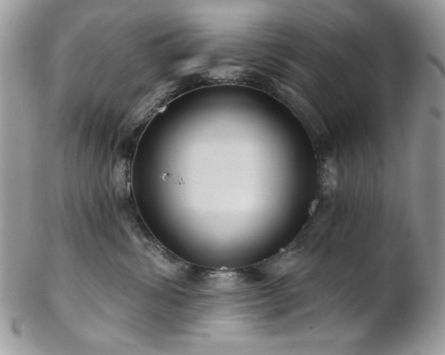 X0000102800428200808181205