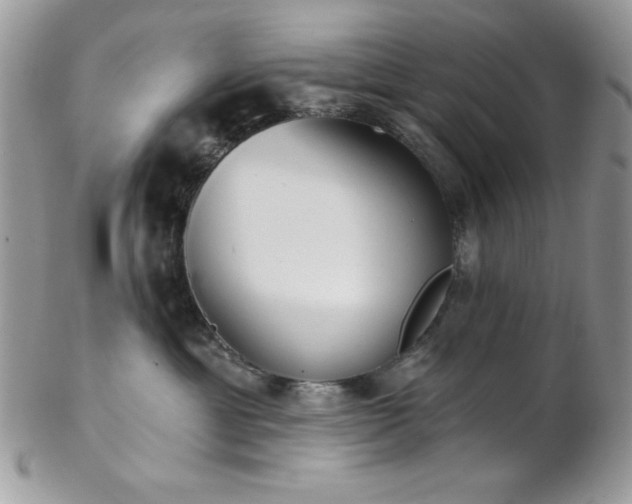 X0000102800429200808181205