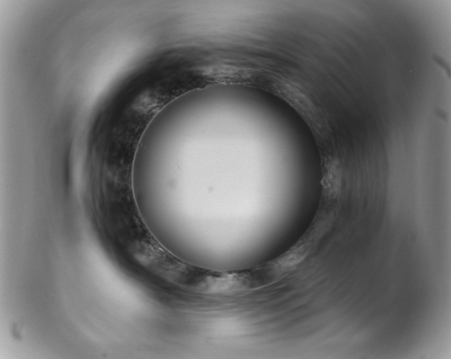 X0000102800430200808181205
