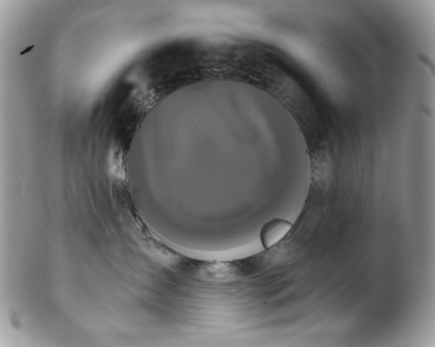 X0000102800431200808181205