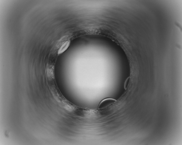 X0000102800432200808181204