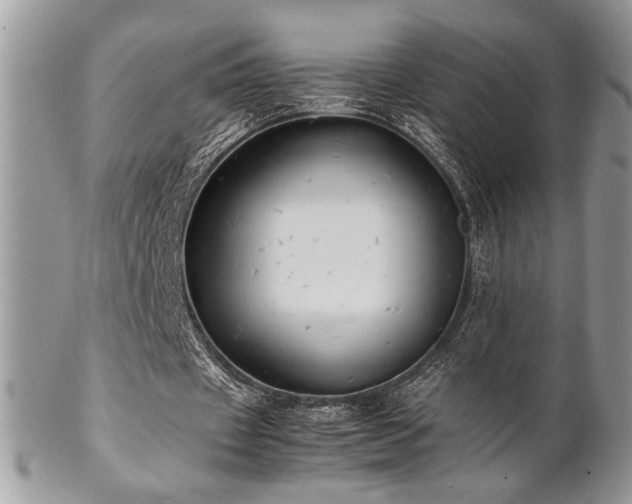 X0000102800433200808181204