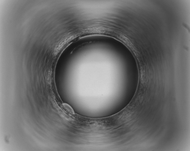 X0000102800434200808181204