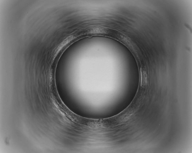 X0000102800435200808181204
