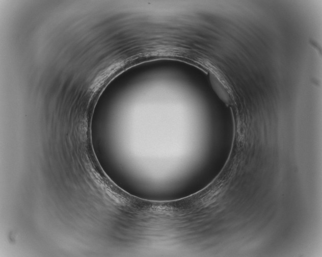 X0000102800437200808181204
