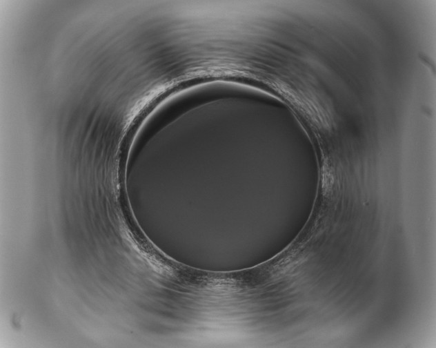 X0000102800438200808181204
