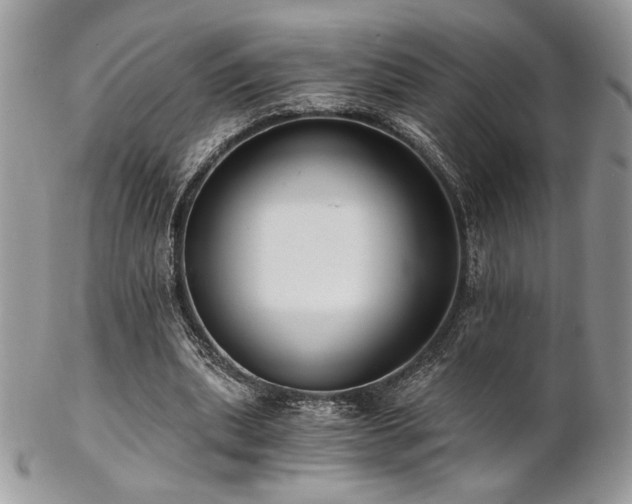X0000102800439200808181204