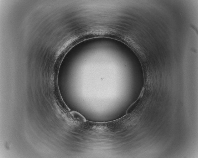 X0000102800440200808181204