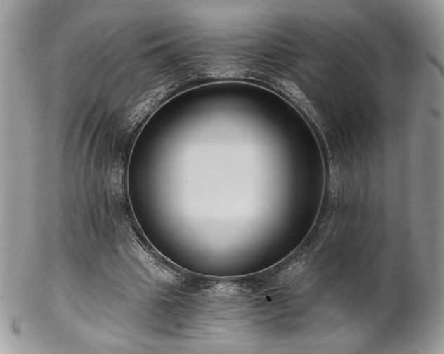 X0000102800441200808181204