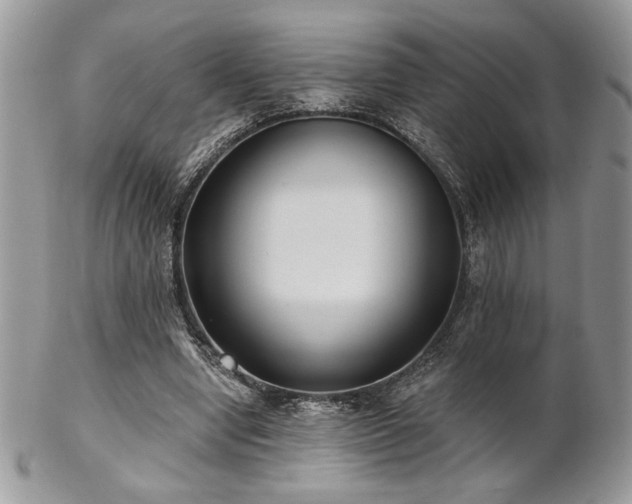 X0000102800442200808181204