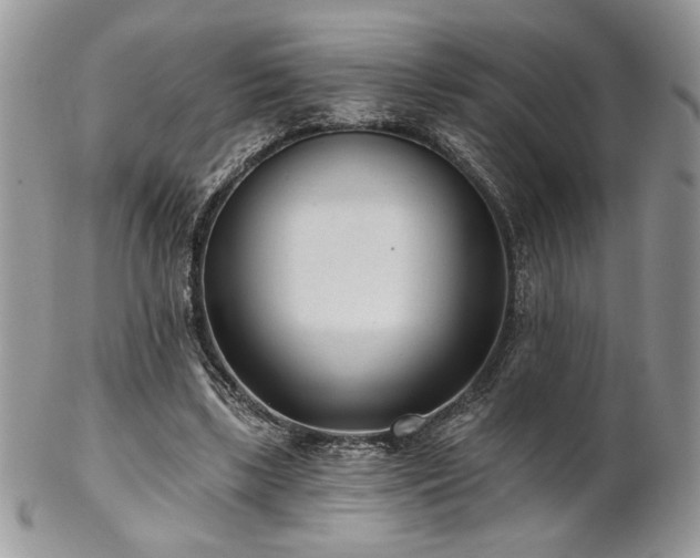 X0000102800443200808181204