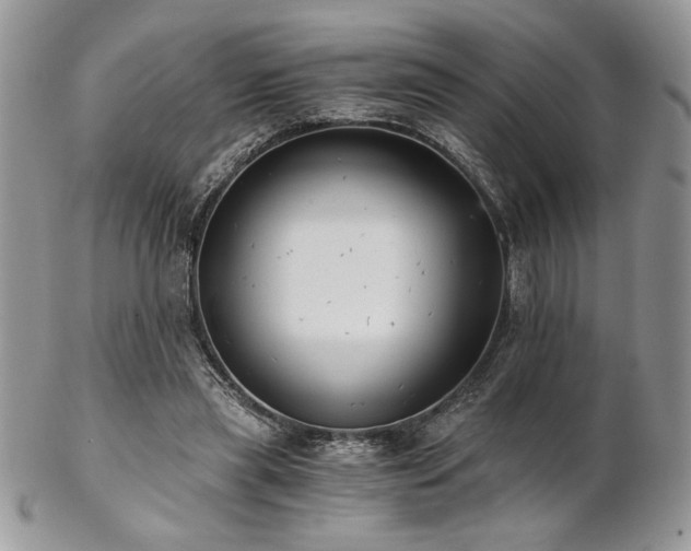 X0000102800445200808181204