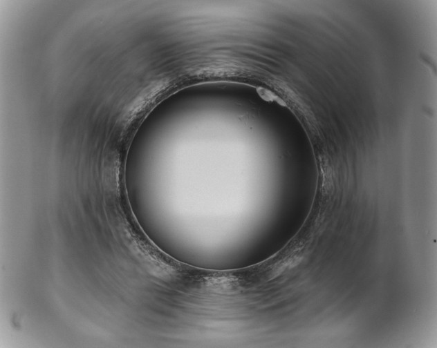 X0000102800446200808181204