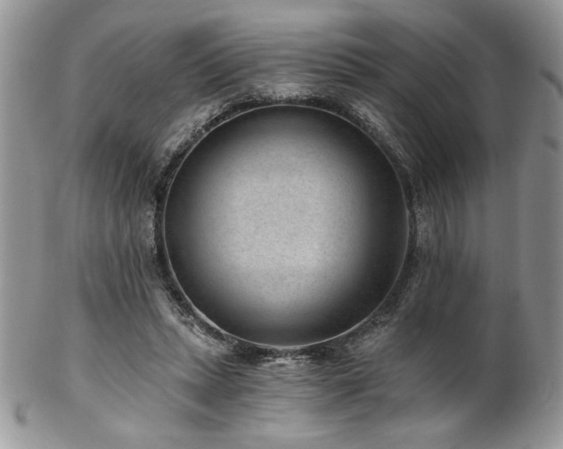 X0000102800447200808181204