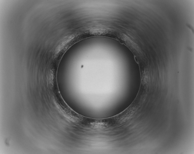 X0000102800448200808181204