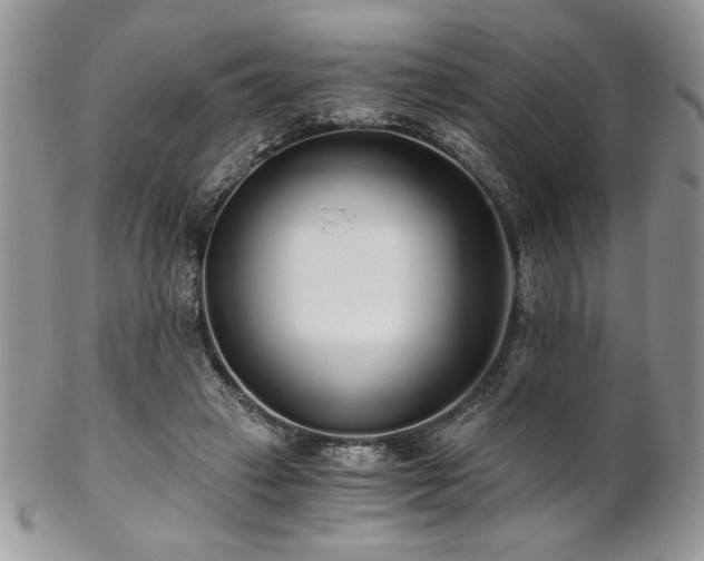 X0000102800449200808181204