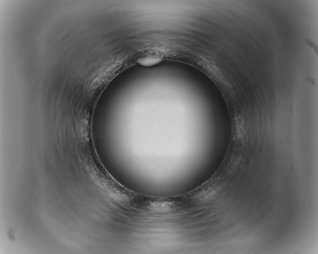 X0000102800450200808181204
