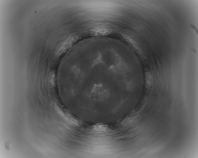 X0000102800451200808181204