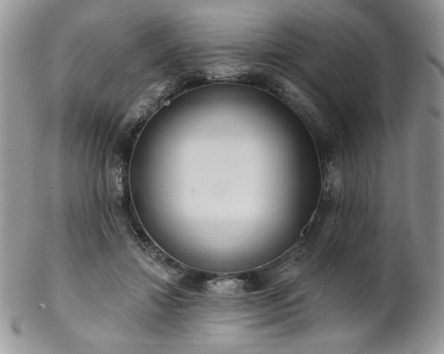 X0000102800452200808181204