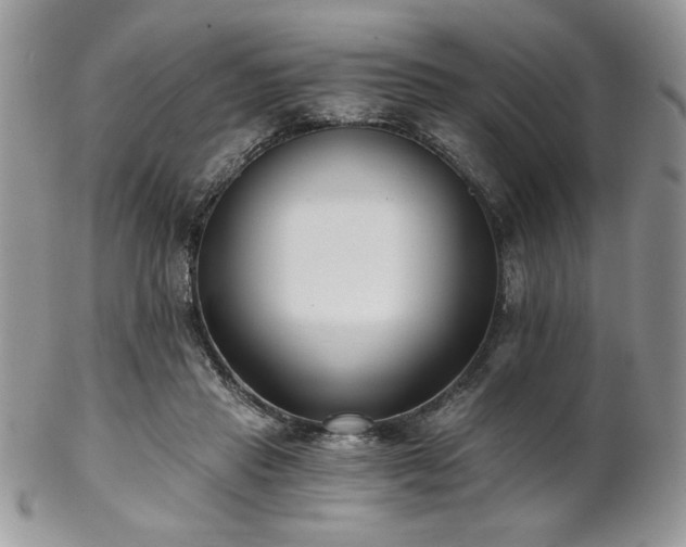 X0000102800453200808181204