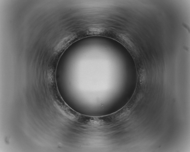 X0000102800455200808181204