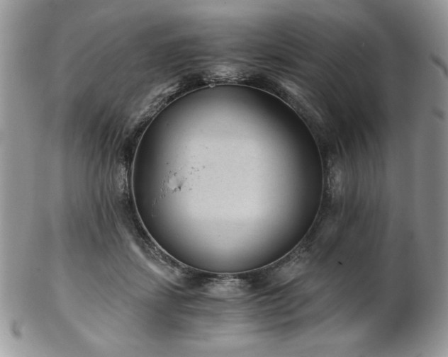 X0000102800459200808181204