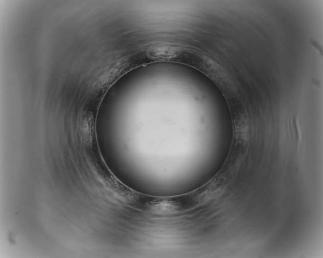 X0000102800460200808181204