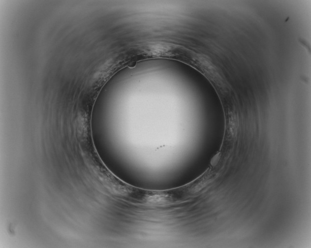 X0000102800461200808181204