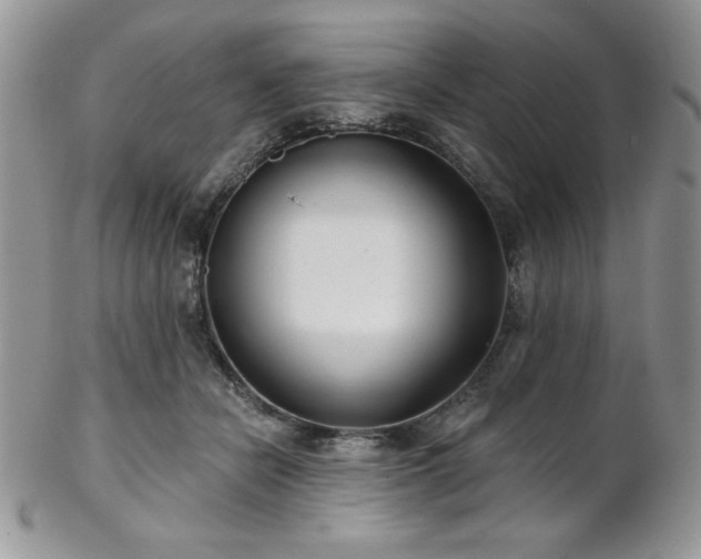 X0000102800462200808181204