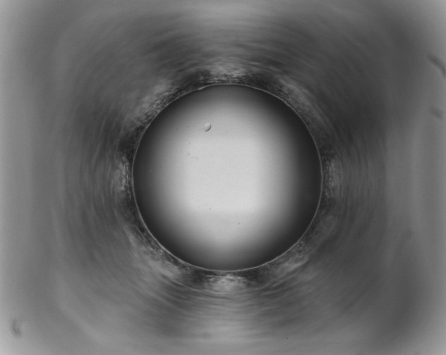 X0000102800463200808181204