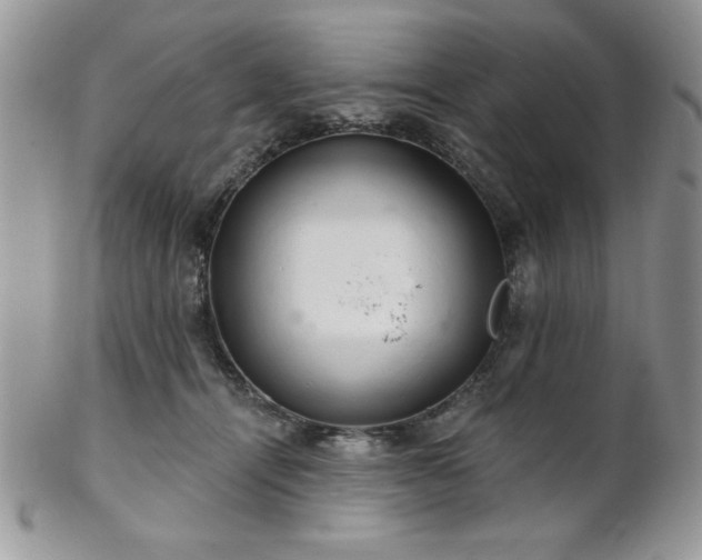 X0000102800464200808181204