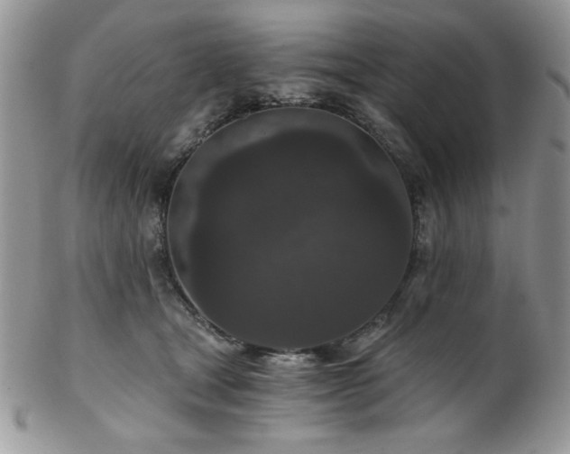 X0000102800465200808181204