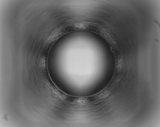X0000102800466200808181204
