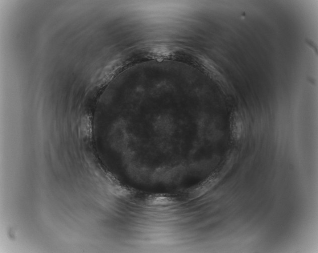 X0000102800467200808181204