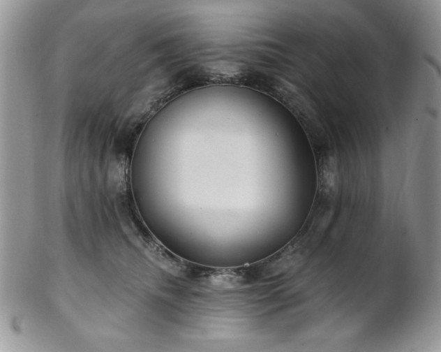 X0000102800468200808181204