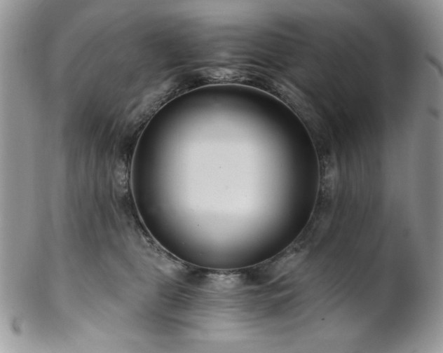 X0000102800469200808181204