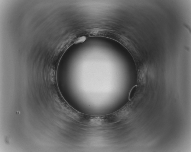 X0000102800470200808181204
