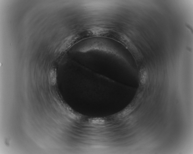 X0000102800471200808181204