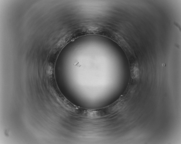 X0000102800472200808181204